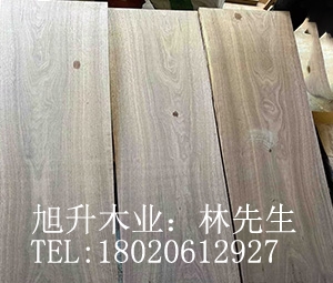 北美黑胡桃 黑胡桃 價格優(yōu)惠 特級 一級材 廠家直銷